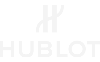 Logo 13